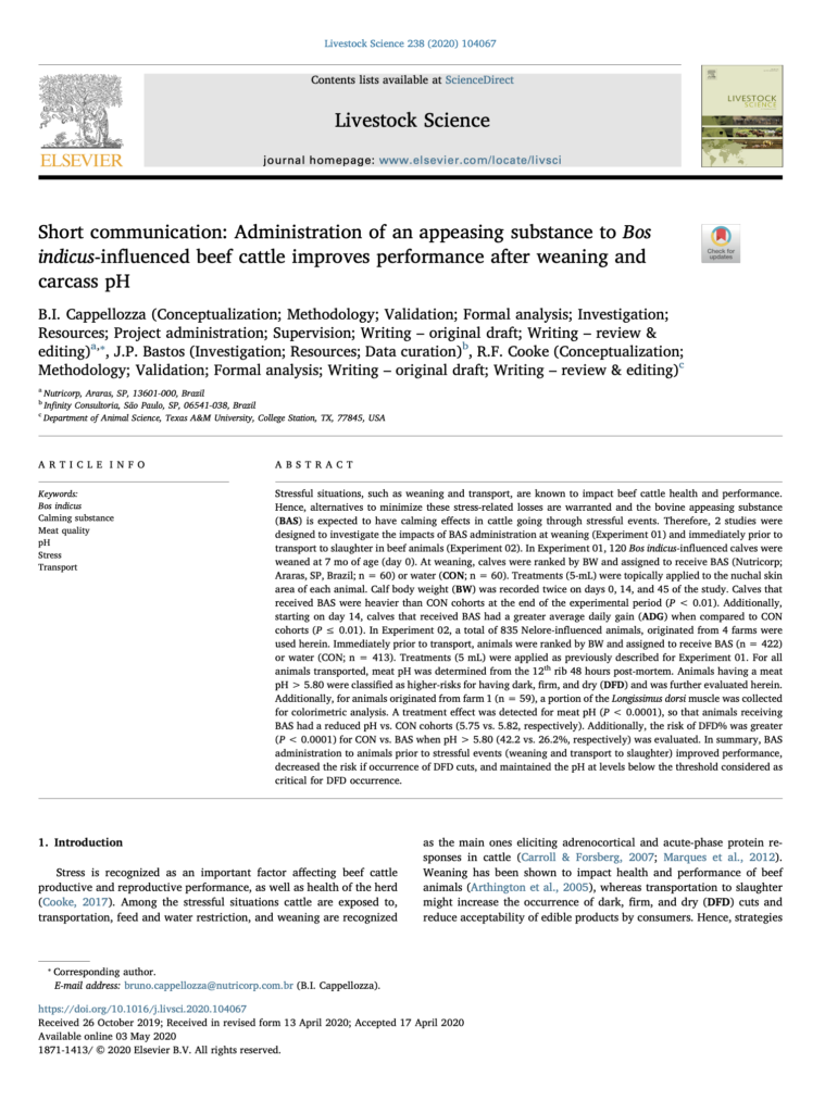 Short communication: Administration of an appeasing substance to Bos T indicus-influenced beef cattle improves performance after weaning and carcass pH